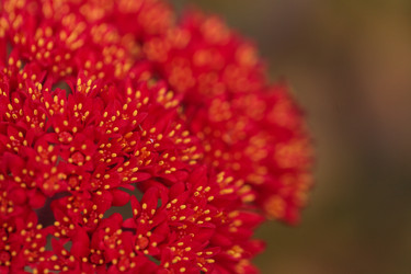 Similar image 11818395