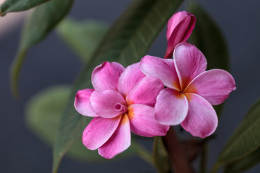 Similar image 11818397