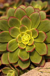 Similar image 11818403