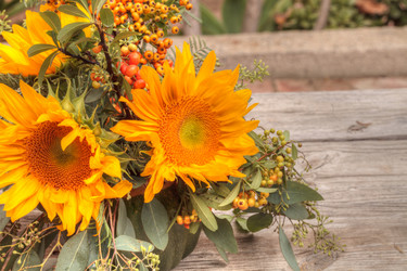 Similar image 11818417