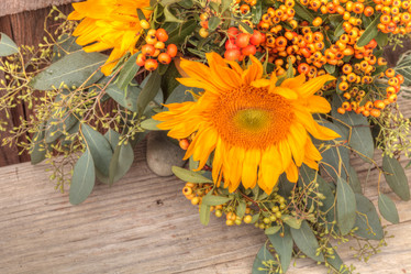 Similar image 11818424