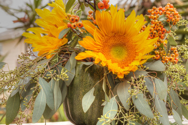 Similar image 11818426