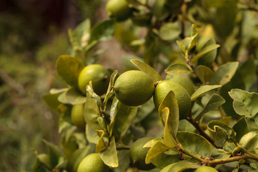 Similar image 11818326