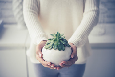 Similar image 11812425