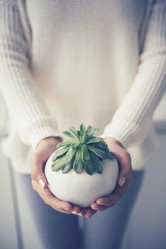 Similar image 11812426