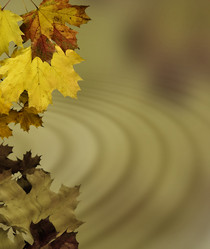 Similar image 11815546