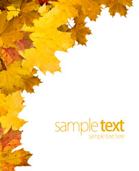 Similar image 11815567