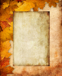 Similar image 11815569