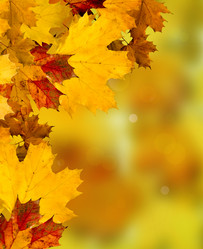 Similar image 11815589