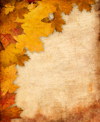 Similar image 11815591