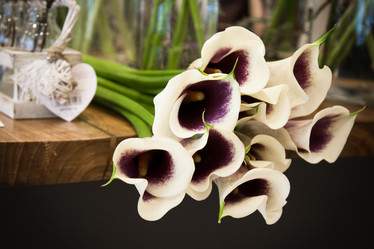 Similar image 11815158