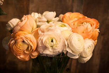 Similar image 11815159