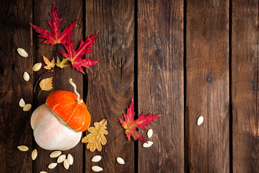 Similar image 11815206