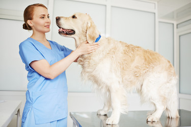 Similar image 11814127