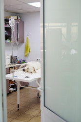 Similar image 11814161