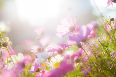 Similar image 11823510