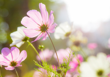 Similar image 11823270