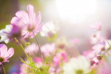 Similar image 11823271