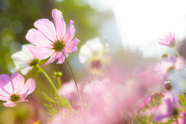 Similar image 11823289