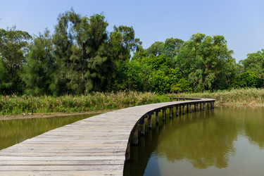 Similar image 11823492