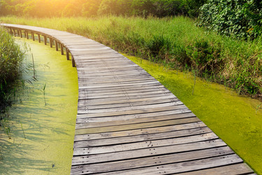 Similar image 11823511