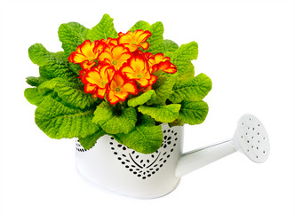 Similar image 11821890