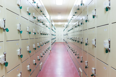 Similar image 11823350