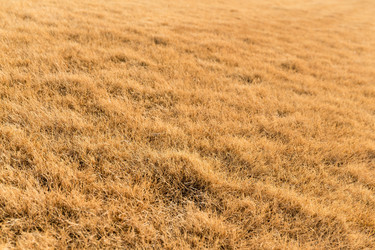 Similar image 11823670