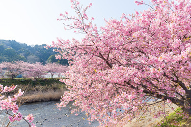 Similar image 11824058