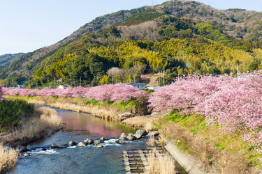 Similar image 11824119