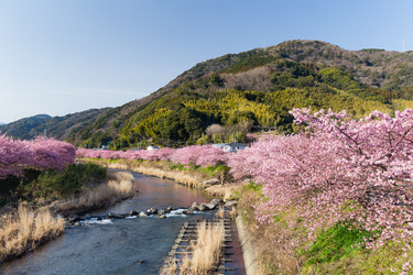 Similar image 11824121