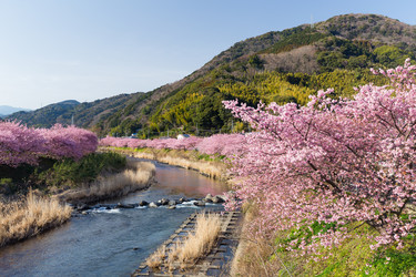 Similar image 11824240