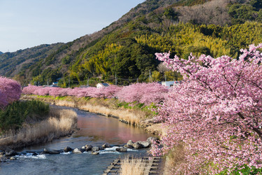 Similar image 11824241