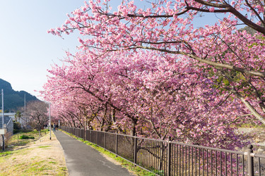 Similar image 11824259