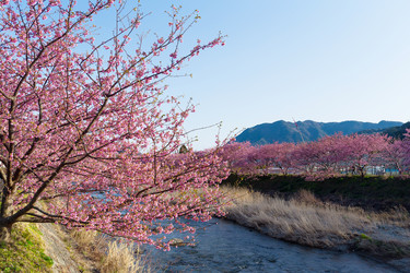 Similar image 11824332