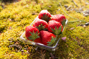 Similar image 11824334