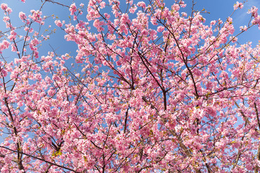 Similar image 11824609