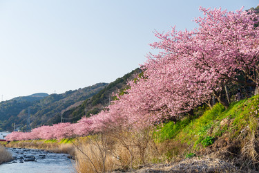 Similar image 11824662