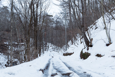 Similar image 11823928