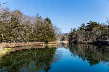 Similar image 11823944