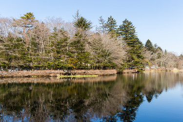 Similar image 11823962