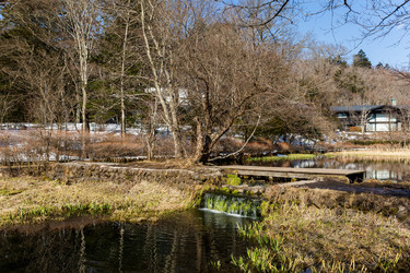 Similar image 11823632