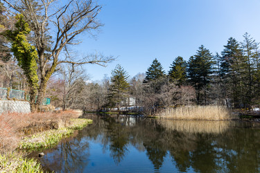 Similar image 11823633