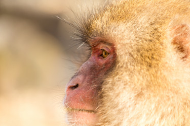 Similar image 11824611