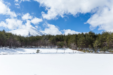 Similar image 11824665