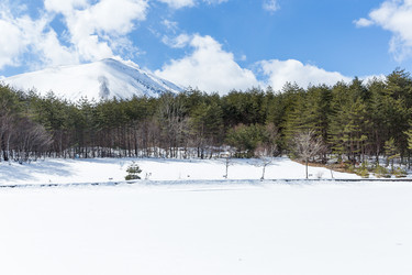 Similar image 11824666