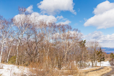 Similar image 11823456