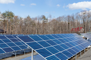 Similar image 11823252