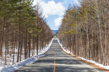 Similar image 11823334