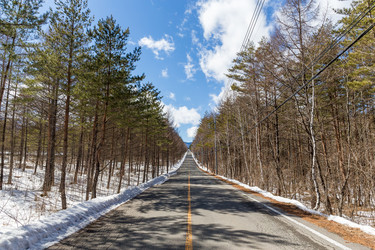 Similar image 11823335